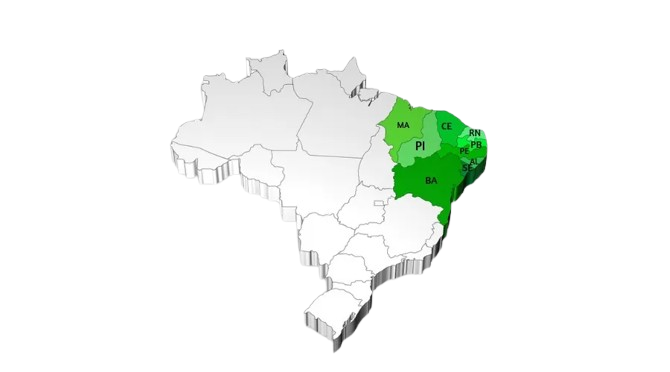 regiao-nordeste-removebg-preview.png